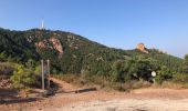 Excursión Senderismo Saint-Raphaël - Les Grues depuis Belle-Barbe - Photo 1