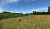 Tour  Attert - Balisage GR 15 - Photo 2