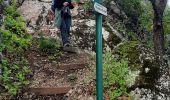 Excursión Senderismo Le Pouzin - Le Pouzin-Couvent des Chèvres-Gommée 15km - Photo 1