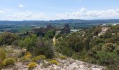 Trail Walking Mornas - Bornas à Saint baudille - Photo 1