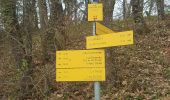 Excursión Senderismo La Trinité - Les Tours de Montmayeur au départ de la Trinité via col de Cochette - Photo 6