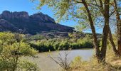 Percorso Marcia Roquebrune-sur-Argens - lac de l arena - roquebrune - Photo 14