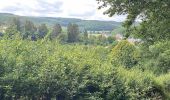 Tour Wandern Kiischpelt - Escapardenne Eisleck Trail: Kautenbach - Clervaux - Photo 20