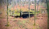 Tour Wandern Junglinster - Itinérant Luxembourg Jour 3: Graulinster- Echternach - Photo 1