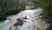 Tour Wandern Ornans - Ornans - Cascades  Baume Bourla de la tuffière- Source Bleue 29 déc 2020 CAF - Photo 2