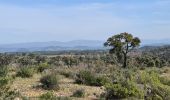 Tour Wandern Le Cannet-des-Maures - lac des escarcets - Photo 12