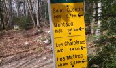 Trail Walking Saint-Quentin-sur-Isère - 38 St Quentin sur isere - Photo 17
