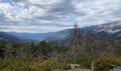 Trail Walking Méailles - M’égailles tête du Ruch - Photo 16