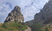 Tour Wandern Valavoire - Sommet de Jouère - Photo 5