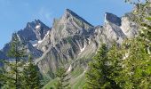 Trail Walking La Clusaz - aravis aiguille verte combe borderan 12kms  987m - Photo 1