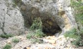 Randonnée Marche Cheval-Blanc - PF-Cheval-Blanc - Les Gorges de Régalon - Les Mayorques - W - Photo 1