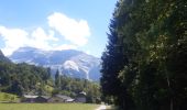 Randonnée Marche Samoëns - Samoens . gorges des tines - retour  - Photo 18