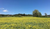 Tour Zu Fuß Zumikon - Waltikon - Wehrmännerdenkmal - Photo 5