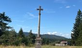 Tocht Stappen Cayres - Grand tour du Lac du Bouchet - Photo 2