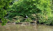 Percorso A piedi Lelystad - Lelystad-Oostvaardersbos-Knarbos - Photo 2