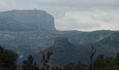 Tocht Stappen Plan-d'Aups-Sainte-Baume - Plan d'Aups-02-03-22 - Photo 7