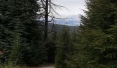 Tocht Stappen Villeneuve-de-Berg - la forêt des sens Villeneuve de Berg  - Photo 8