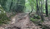 Trail Walking Lacrouzette - Sidobre - Photo 19