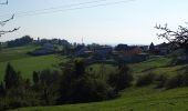 Percorso A piedi Sankt Oswald bei Plankenwarth - Wanderweg 34 - Photo 2