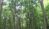 Randonnée Marche Ville de Bruxelles - Bois Cambré et Forest Soignes - Photo 2