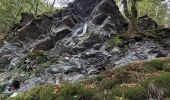 Tour Nordic Walking Herbeumont - herbeumont - Photo 1