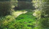 Tour Wandern La Couvertoirade - Larzac 2 - Photo 6