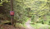 Trail On foot Rasnov - Bușteni - Poiana Pichetul Roșu - Cabana Mălăiești - Photo 1