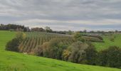 Tour Wandern Blegny - A travers les champs de Blegny et ses environs  - Photo 16