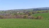 Tocht Stappen Saint-Chély-d'Aubrac - Compostelle St chely St come d'olt - Photo 11