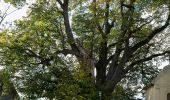 Tocht Te voet Schäffern - Rundwanderweg vom Berghotel Ocherbauer (blau) - Photo 1