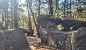 Trail On foot Fontainebleau - Fontainebleau - Moret - Montigny - Photo 10