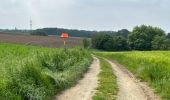 Tocht Stappen Kortenberg - Everberg 10,8 km - Photo 2