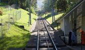 Tour Zu Fuß Zug - Schönegg - In den Bächen - Photo 5