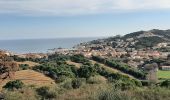 Trail Walking Port-Vendres - paulilles banyuls - Photo 4