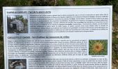 Excursión Senderismo Hures-la-Parade - 21 06 06 les trois hameaux Hures  - Photo 7