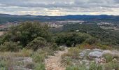 Tocht Stappen Montarnaud - tour montarnaud et argelliers - Photo 2