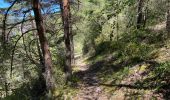 Tocht Stappen Gorges du Tarn Causses - Saint Chely 17 km - Photo 8