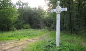 Trail Walking Rethondes - en forêt de Laigue_6_12_2019_Route Forestière des Princesses_Route et Chemin de Briançon - Photo 2