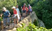 Randonnée Marche Montauroux - Les gorges de la Siagne et les chênes pluricentenaires - Photo 9