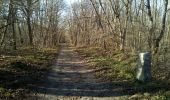 Trail Walking Fontainebleau - L'épine et la mare aux évés - Photo 7