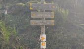Tour Wandern Larnat - Cap de la Lesse - Photo 12