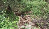 Randonnée Marche Collobrières - Collobriéres. Sommet de l'Argentière  - Photo 1