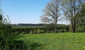 Tocht Stappen Neufchâteau - Verlaine - Cap au vert - Photo 8