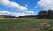 Tour Wandern Libramont-Chevigny - rando bras-bas 19/03/2021 - Photo 2