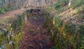 Tour Wandern Vaire - ARCIER Sources ARCIER et Bergeret  - Photo 5