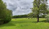 Randonnée Marche Neupré - Autour de Houte-Si-Plou - Photo 9