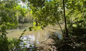 Trail Walking Court-Saint-Étienne - Tangisart - Photo 13