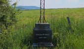 Randonnée Marche Saint-André-la-Côte - Le signal - Photo 14