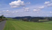 Trail On foot Schmallenberg - Twismecke Rundweg T17 - Photo 1