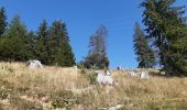 Excursión Senderismo Viuz-la-Chiésaz - Semnoz, mon tour des lacs et des crêts  - Photo 3